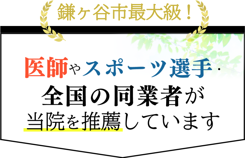 鎌ヶ谷市最大級！医師やスポーツ選手、全国の同業者も多数当院を推薦しています